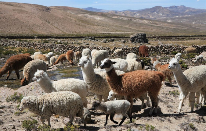 Best of Peru, Argentina & Brazil