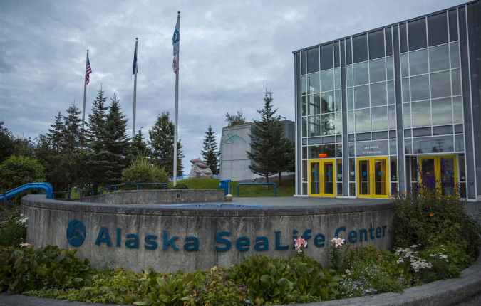 Alaska Family Journey: Wilderness Explorer