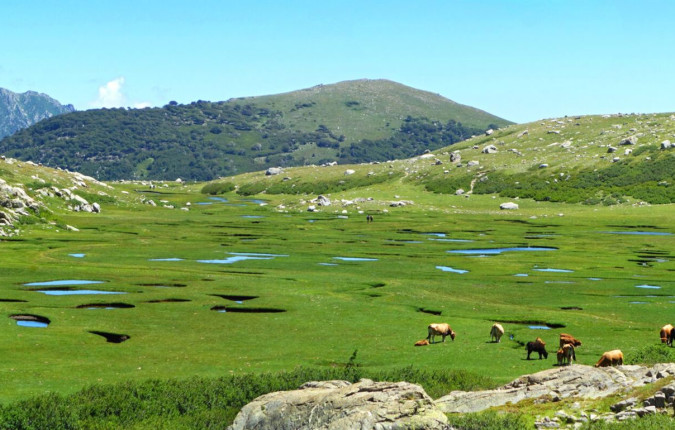 Trek the GR20 of Corsica