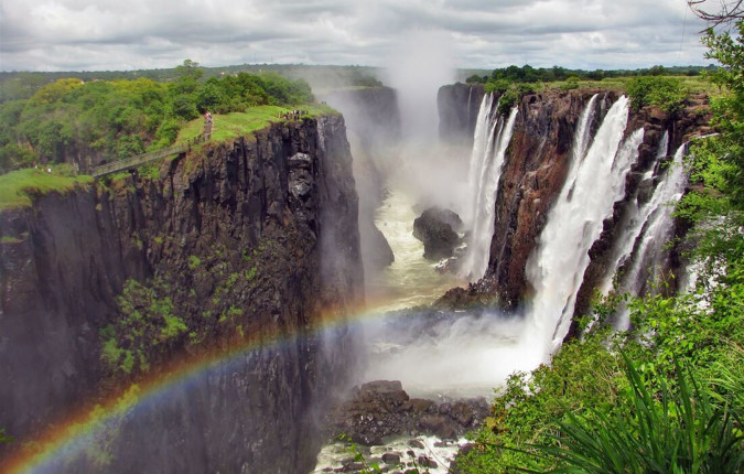 Essential African Safari