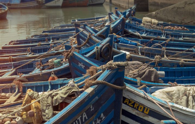 Coastal Morocco: Waves & Market Stalls