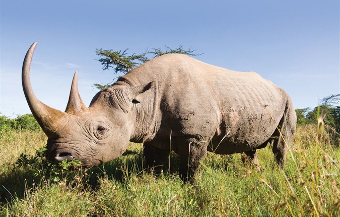 South Africa Family Safari with Teenagers