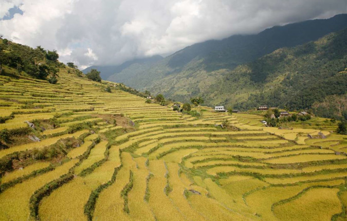 Kathmandu Valley Trek