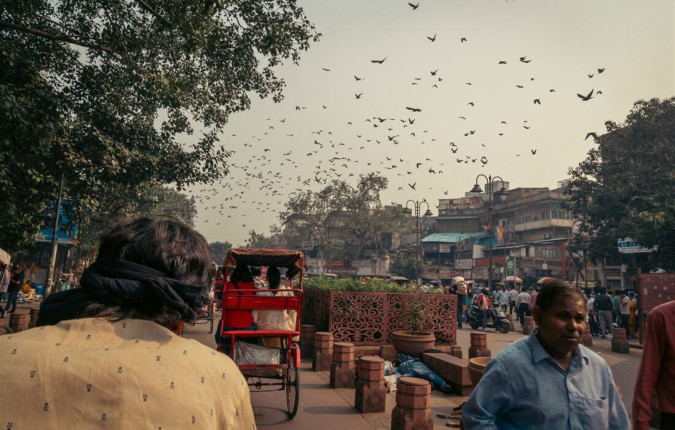 Northern India Family Holiday