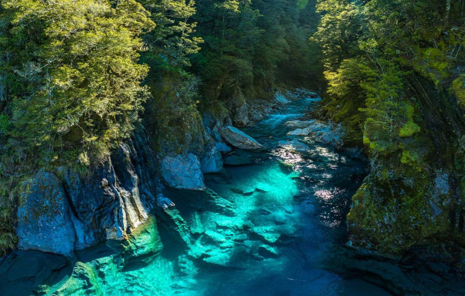 Premium New Zealand Encompassed