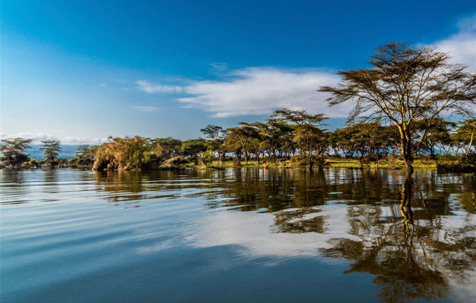 Journeys: Kenya Safari Experience
