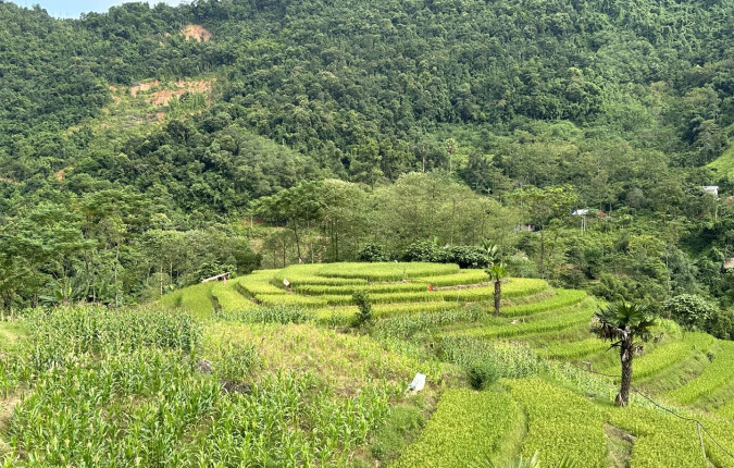 Trails of Vietnam