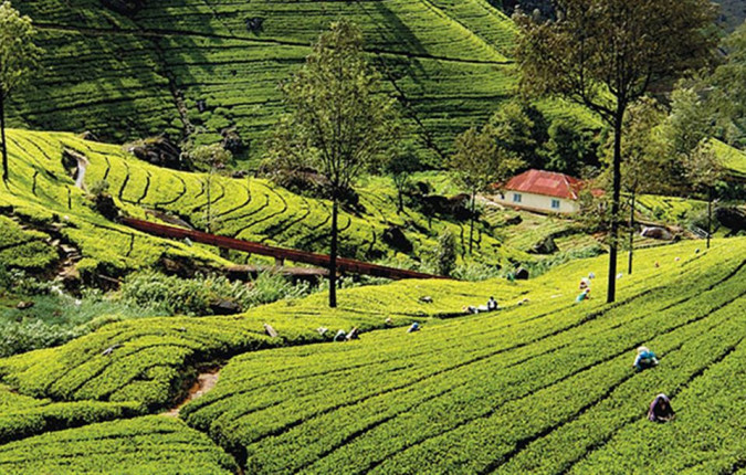 Sri Lanka: Hike, Bike & Kayak