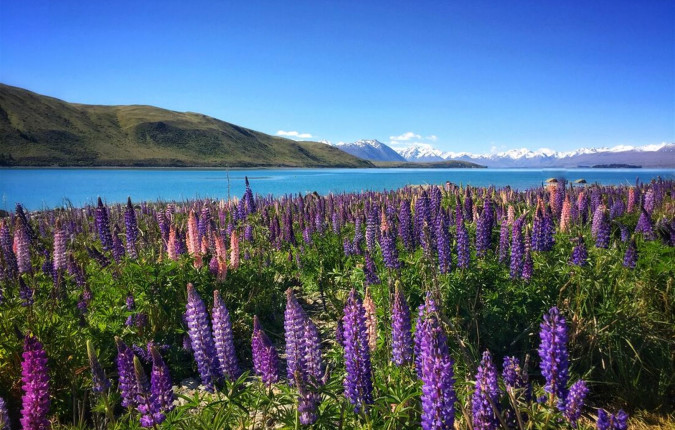 Ultimate New Zealand