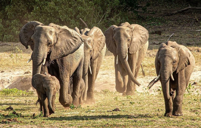Absolute Africa Overland Safari & Participation Camping