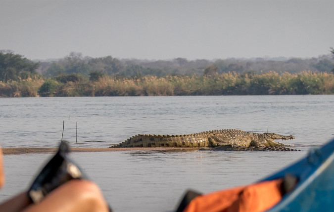 Zambezi Canoe Safari