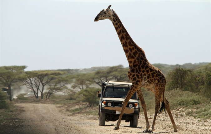 Stone Town to Nairobi