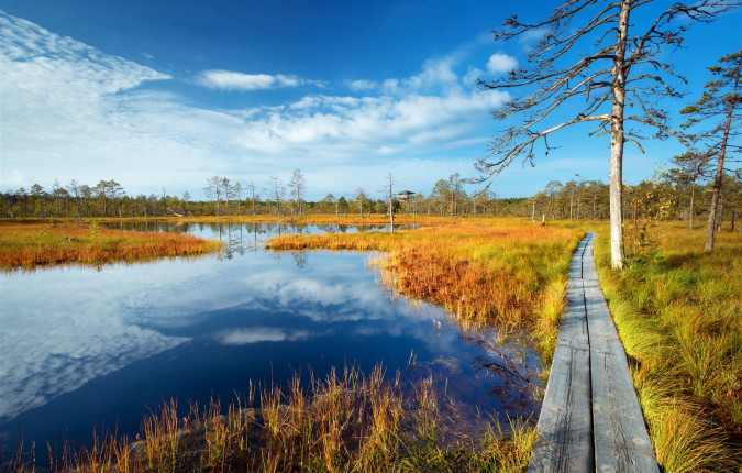 Cycle the Baltics