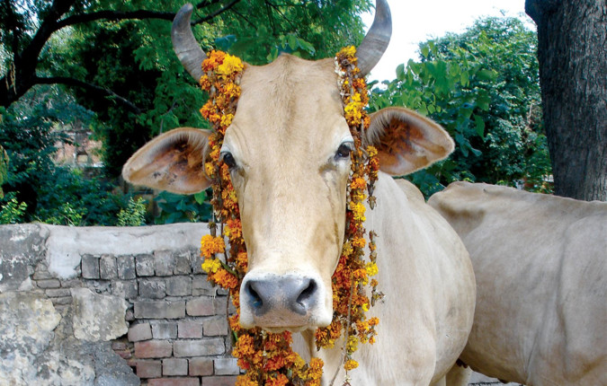 Southern India