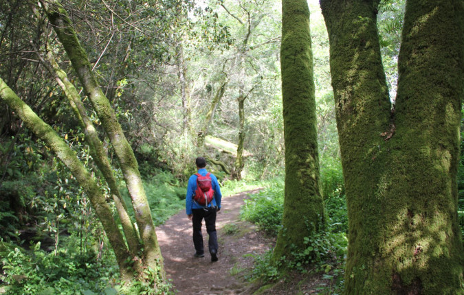 Portuguese Camino Highlights Walk
