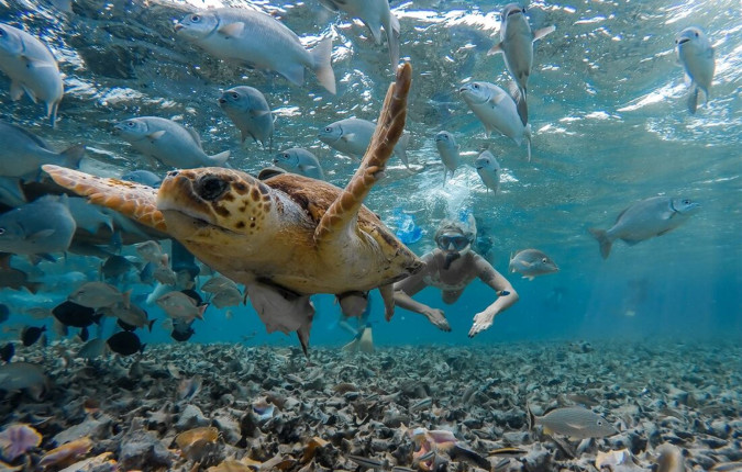Maya Encounter 