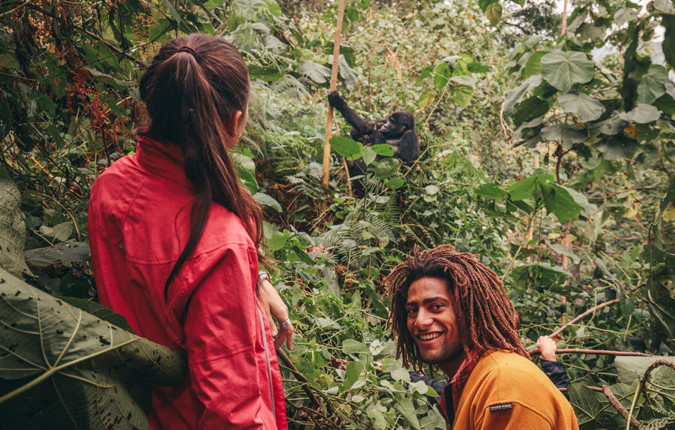 Gorillas & Game Parks