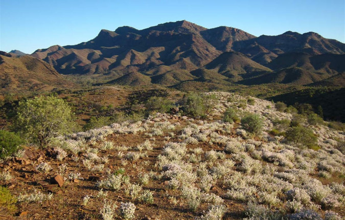 Walk South Australia's Flinders Ranges