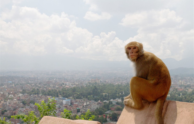 Tibet: Beijing to Kathmandu Overland