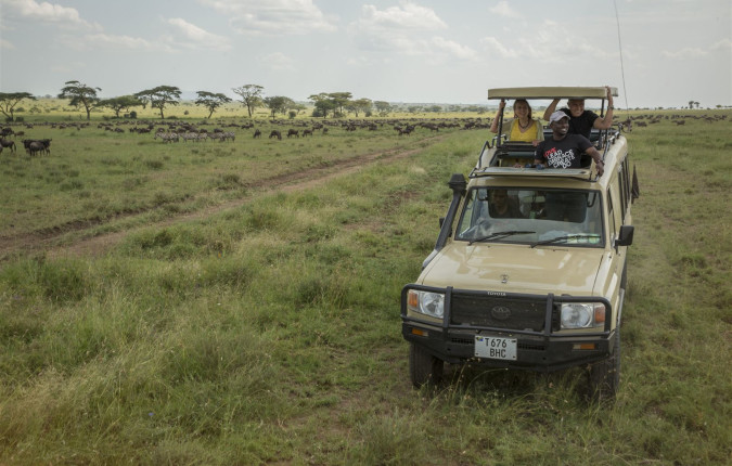 Tanzania: Chimp Trekking & Serengeti Safari