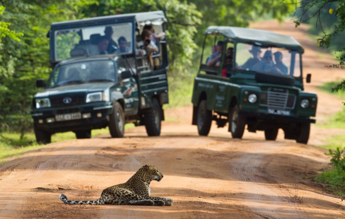 Discover Sri Lanka