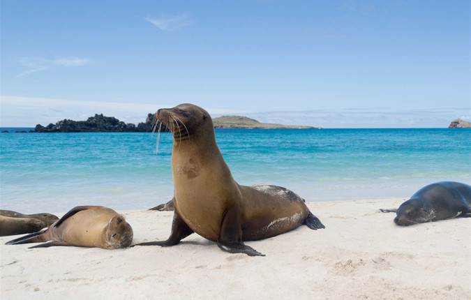 Best of Peru & Galapagos