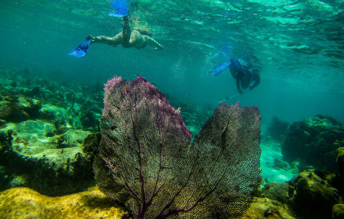 Journeys: Explore Belize