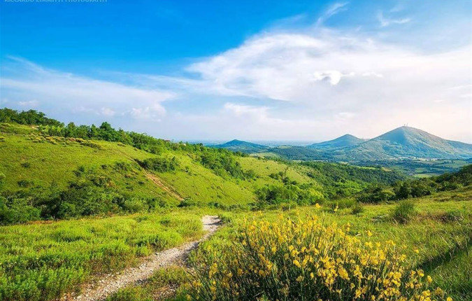 Walking in the Venetian Hills