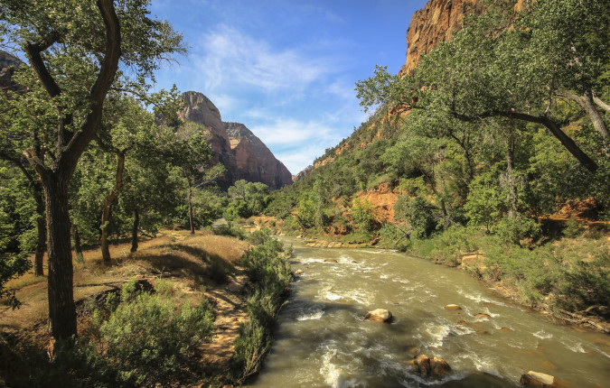 USA National Parks Explorer