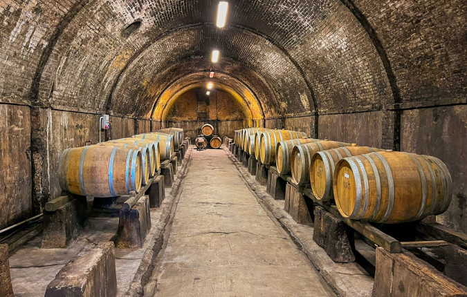 Tuscany Walks & Chianti Wines