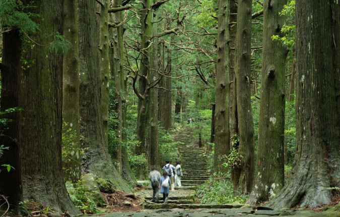 Japan: Koya-san & Kumano Kodo Trek