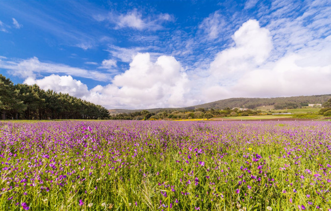 Trekking the Camino de Santiago