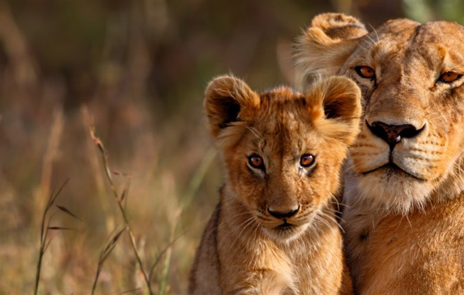 East Africa Highlights