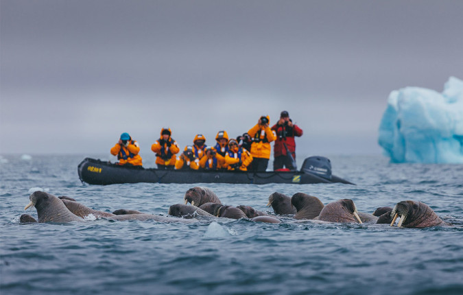 Ultimate Arctic Voyage: From Svalbard to Jan Mayen to Iceland