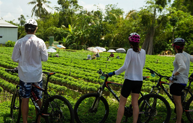 Cycle Northern Vietnam