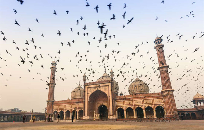 India & Nepal Adventure