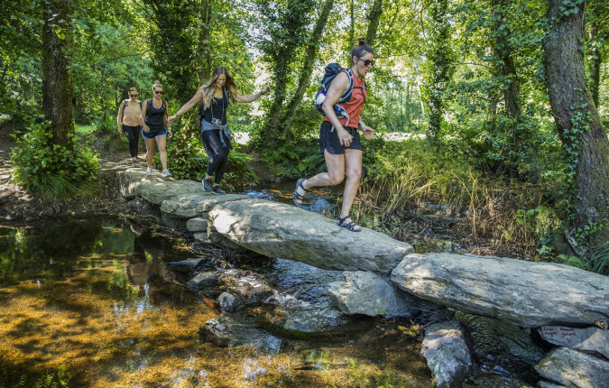 Walk the Camino de Santiago