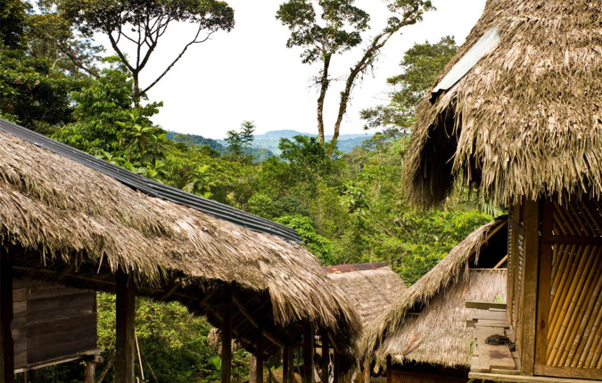 Local Living Ecuador—Amazon Jungle