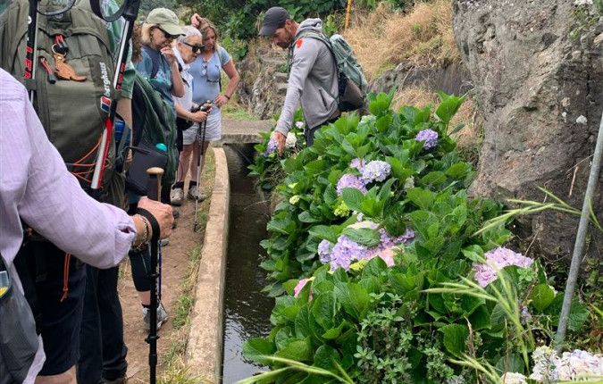 Walking the Island of Madeira