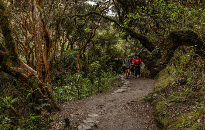 Inca Trail & Amazon Adventure
