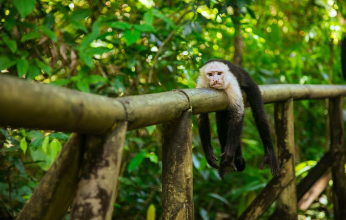 Best of Costa Rica 