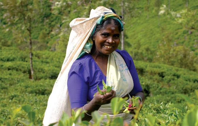 Premium Sri Lanka in Depth