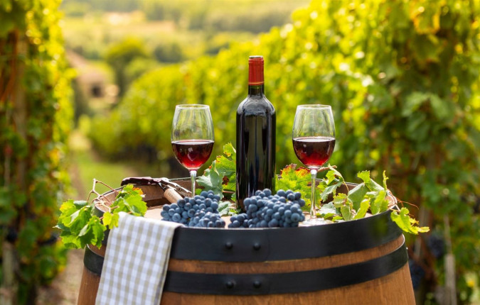 Loire Valley: Walks, Wine & Chateaux