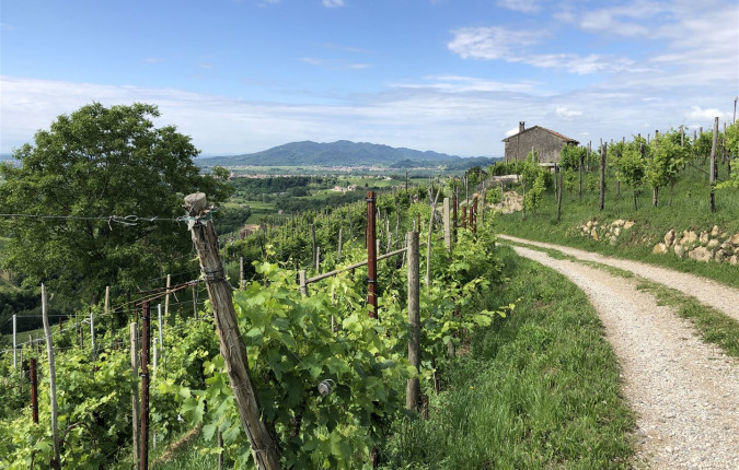 Walk The Prosecco Hills & Hidden Venice