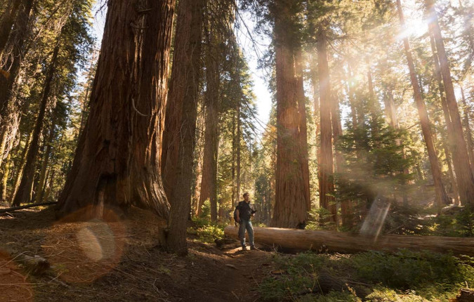 West Coast Discovery