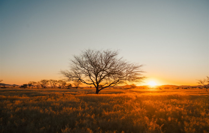 Discover Namibia - Camping