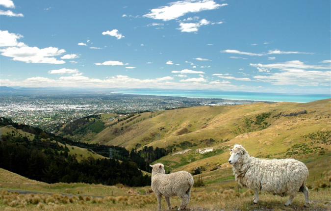Journeys: Iconic Australia and New Zealand