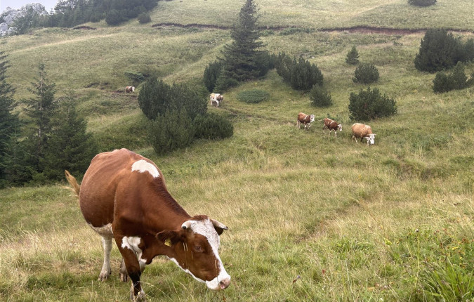 Walking in Bosnia & Herzegovina
