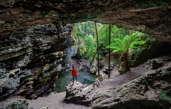 Best of Tasmania's Tarkine & Cradle Mountain