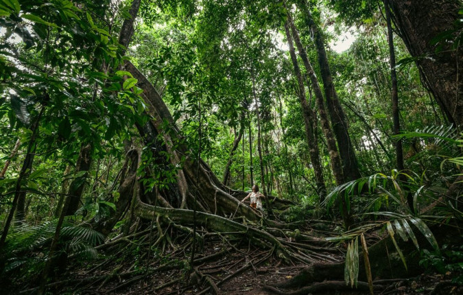 North Queensland Adventure